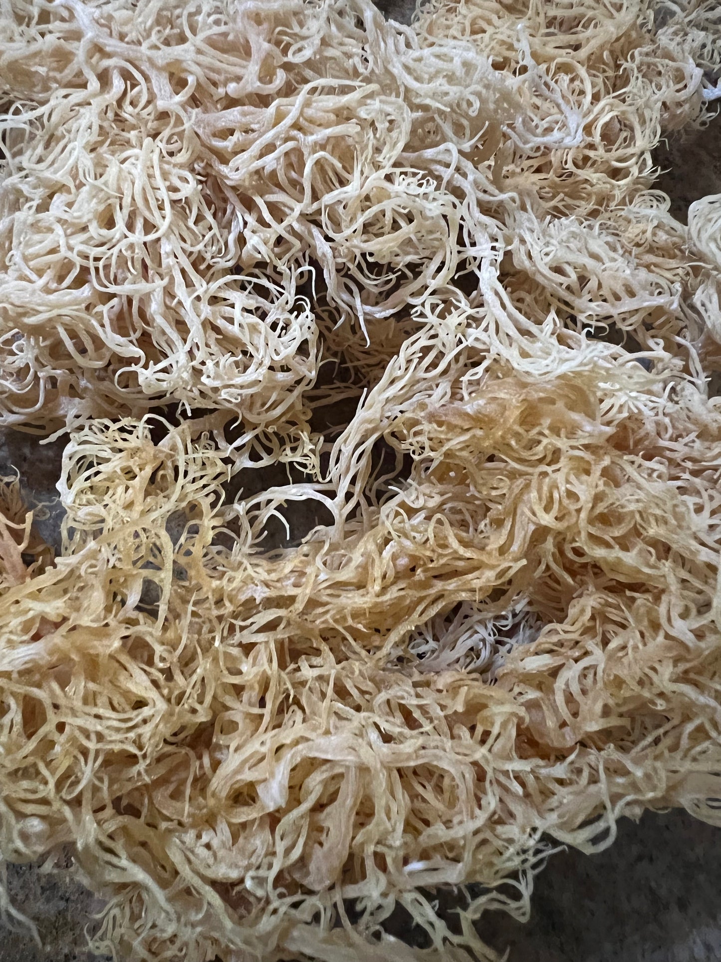 Raw Gold Seamoss