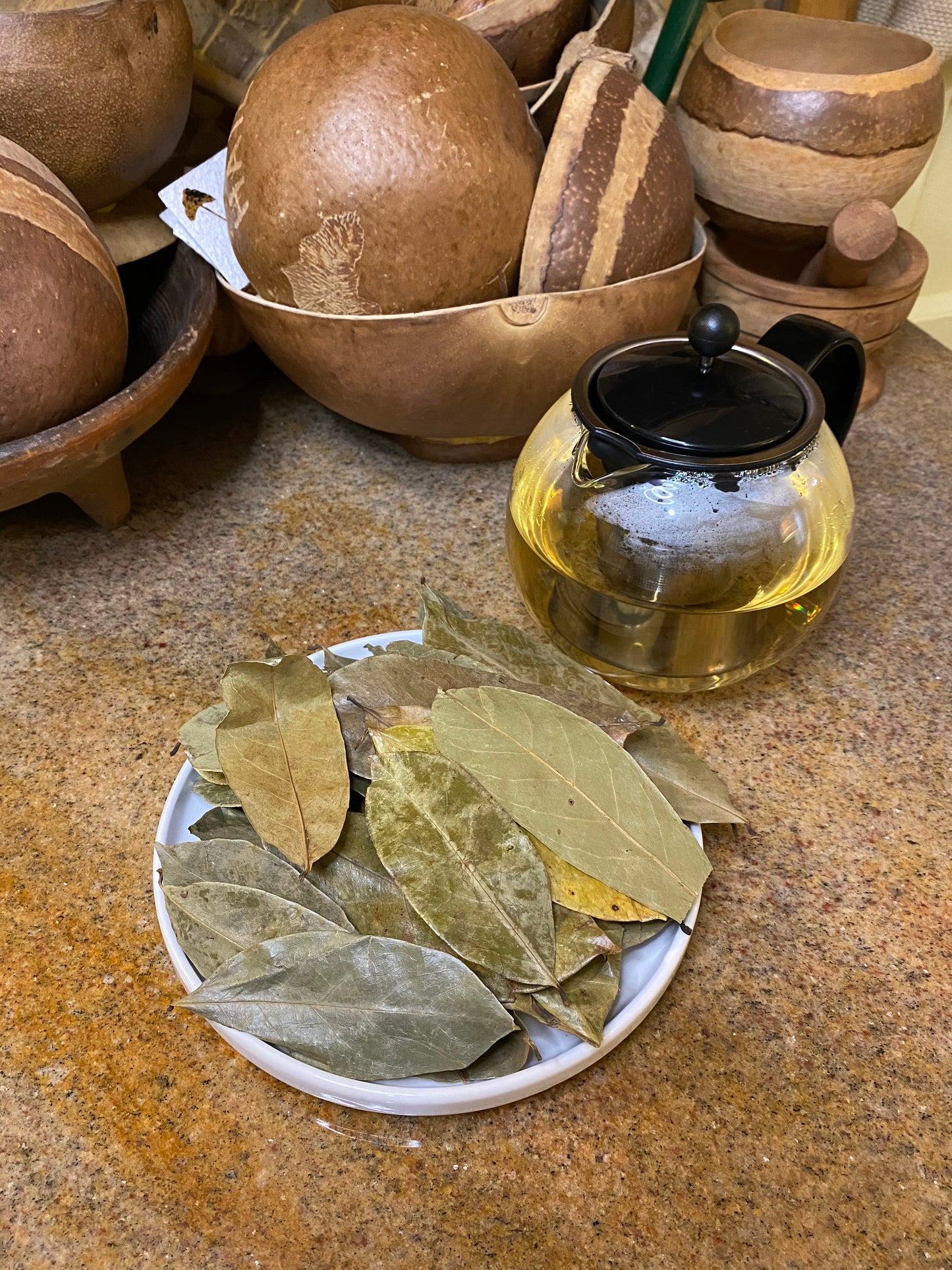 Organic Soursop Leaves