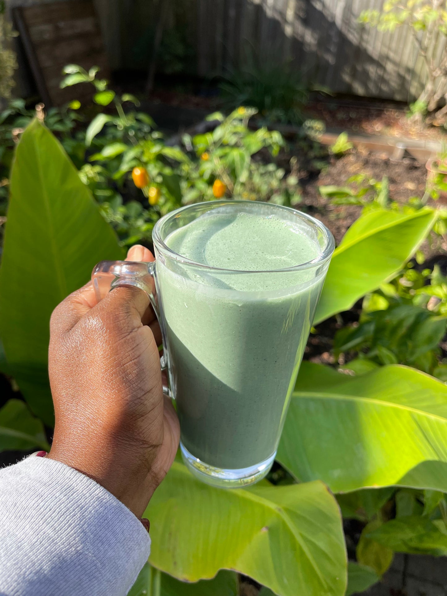 Green Giant -Spirulina Pistachio Seamoss Smoothie *NYC Only*